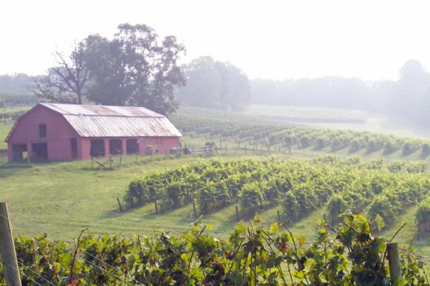 Introducing the "Dahlonega Plateau"