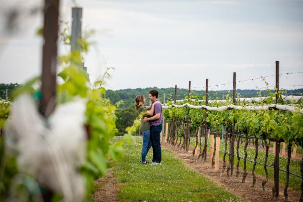 Couple in vineyard