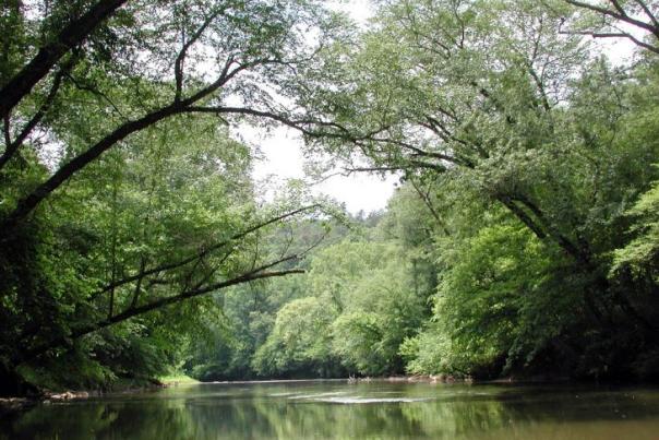 Canoeing or Kayaking: Which Is Right For You