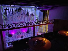 Canopy & The Roots - Listening Room