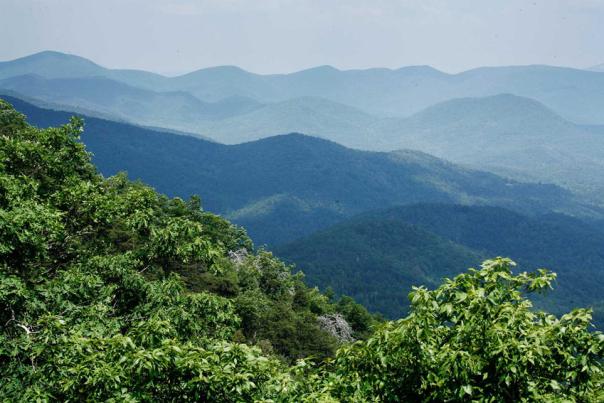 Welcome to the Discover Dahlonega Blog!