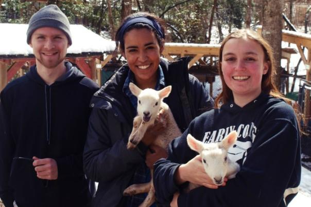 Meet the Animals of the North Georgia Zoo!